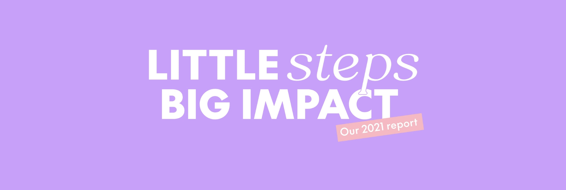 Little Steps, Big Impact: Our 2021 Report