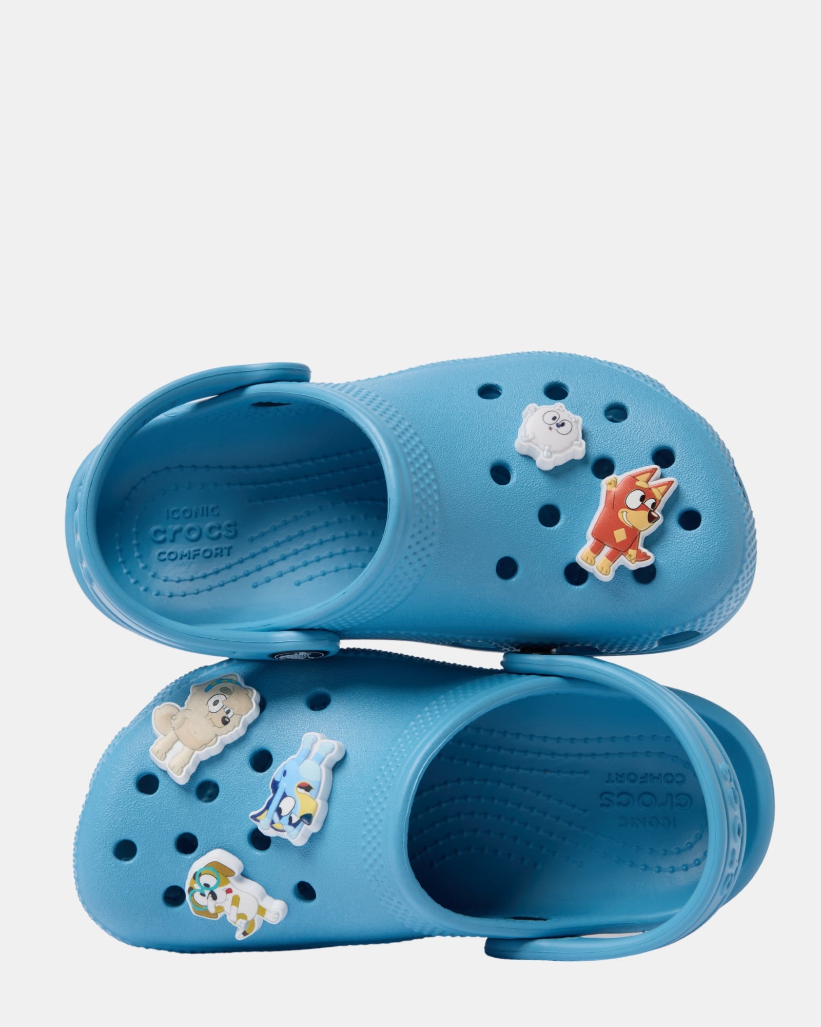 Bluey Multi Jibbitz 5 Pack Multi