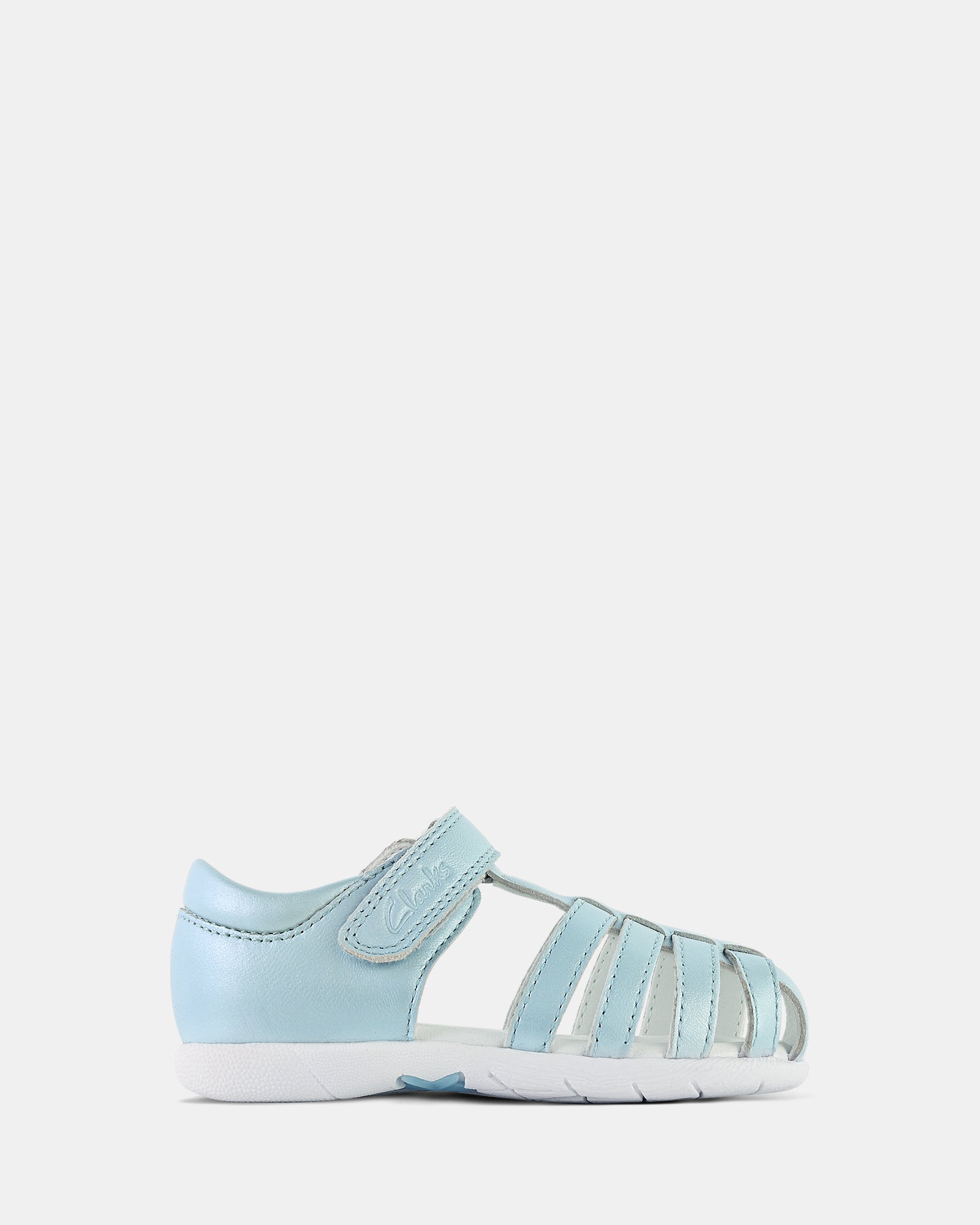 Shelly Blue