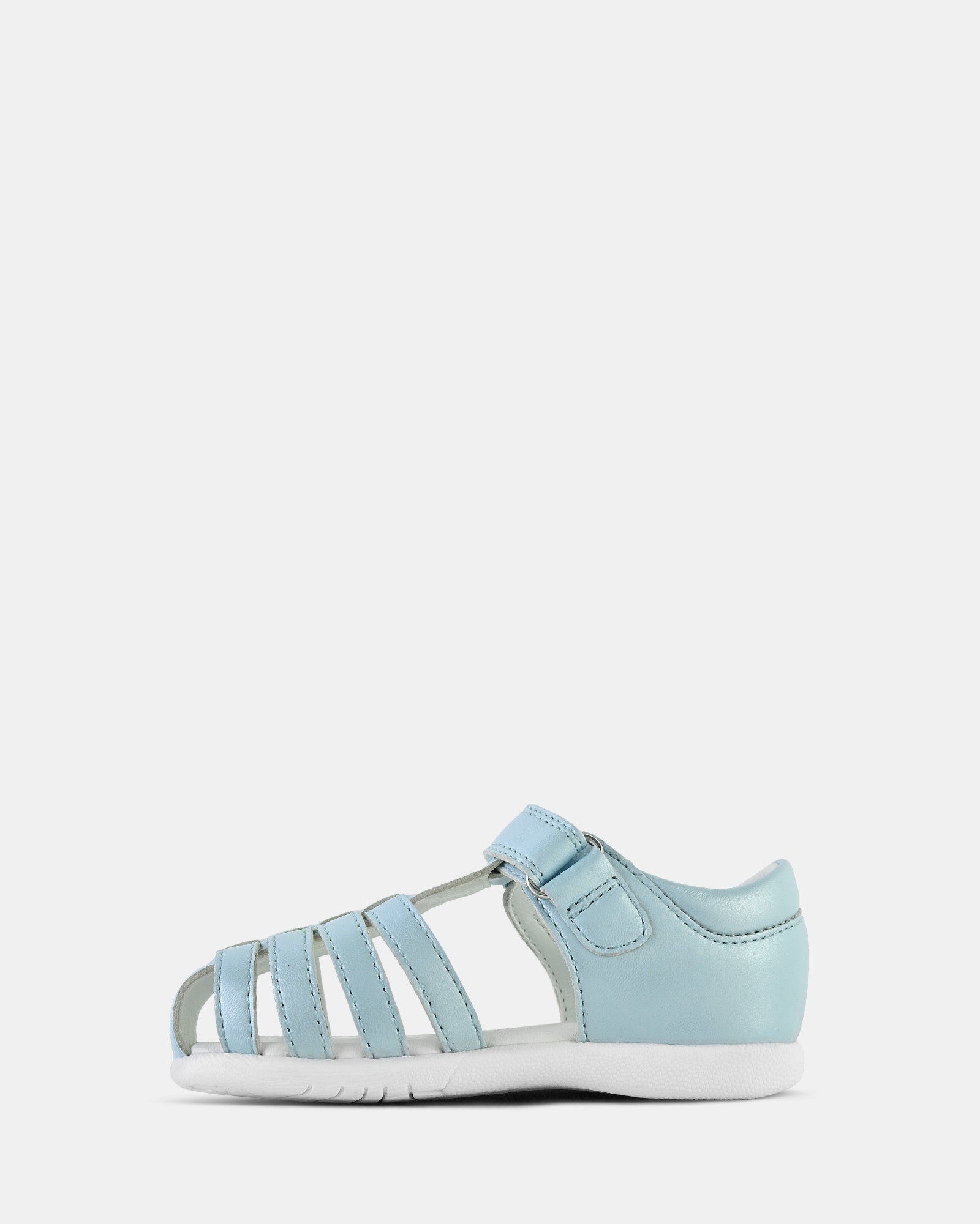 Shelly Blue