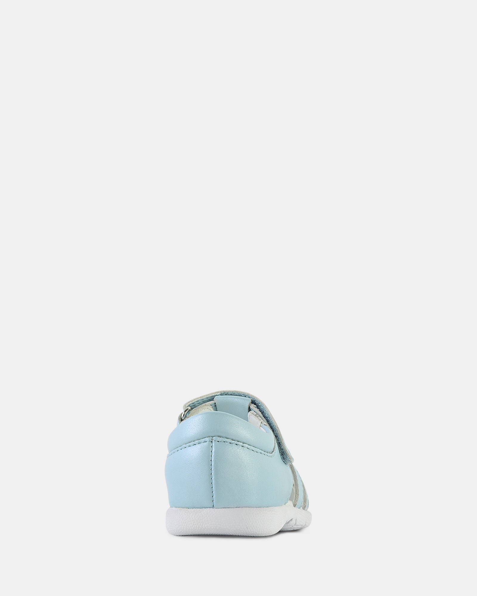Shelly Blue