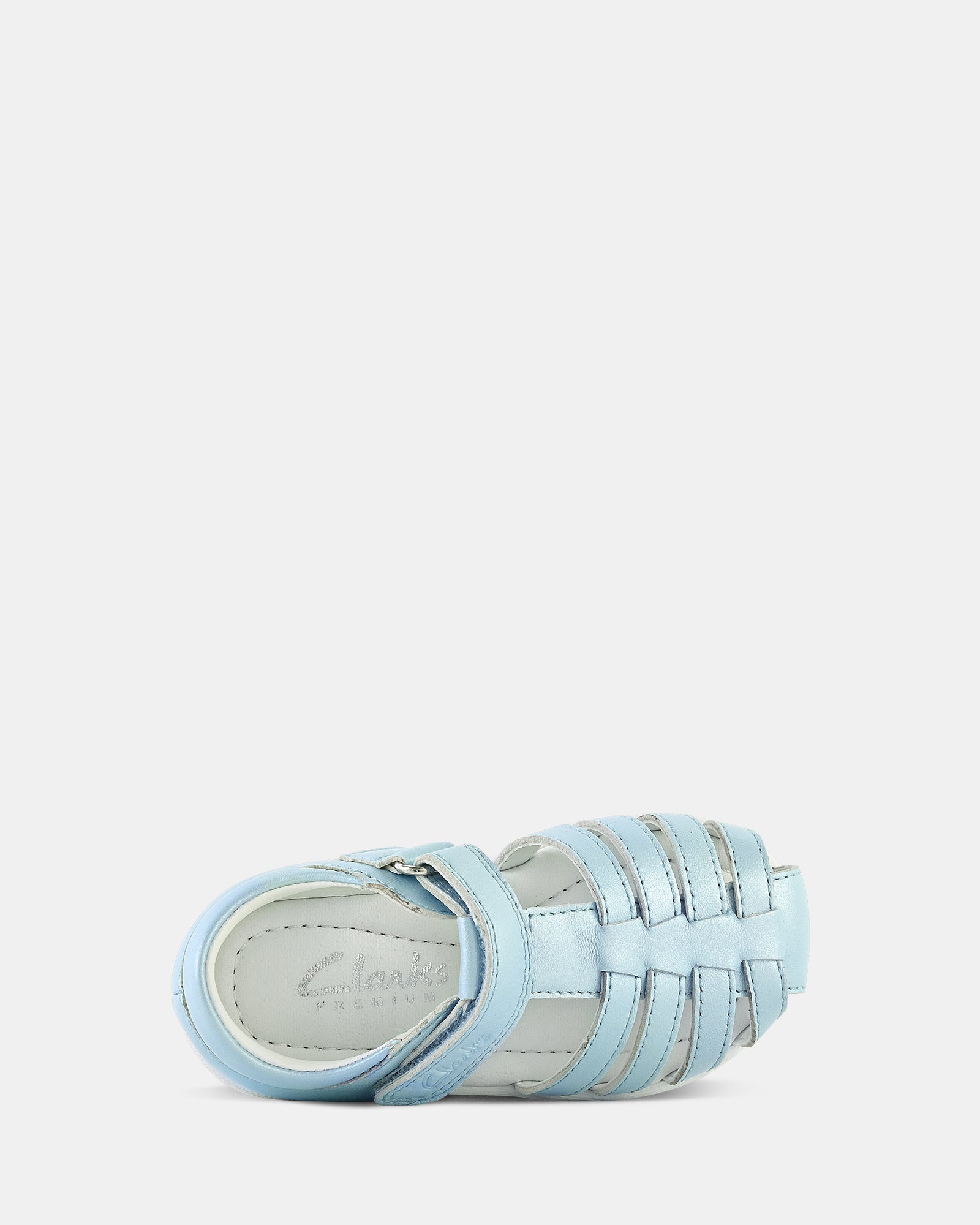 Shelly Blue