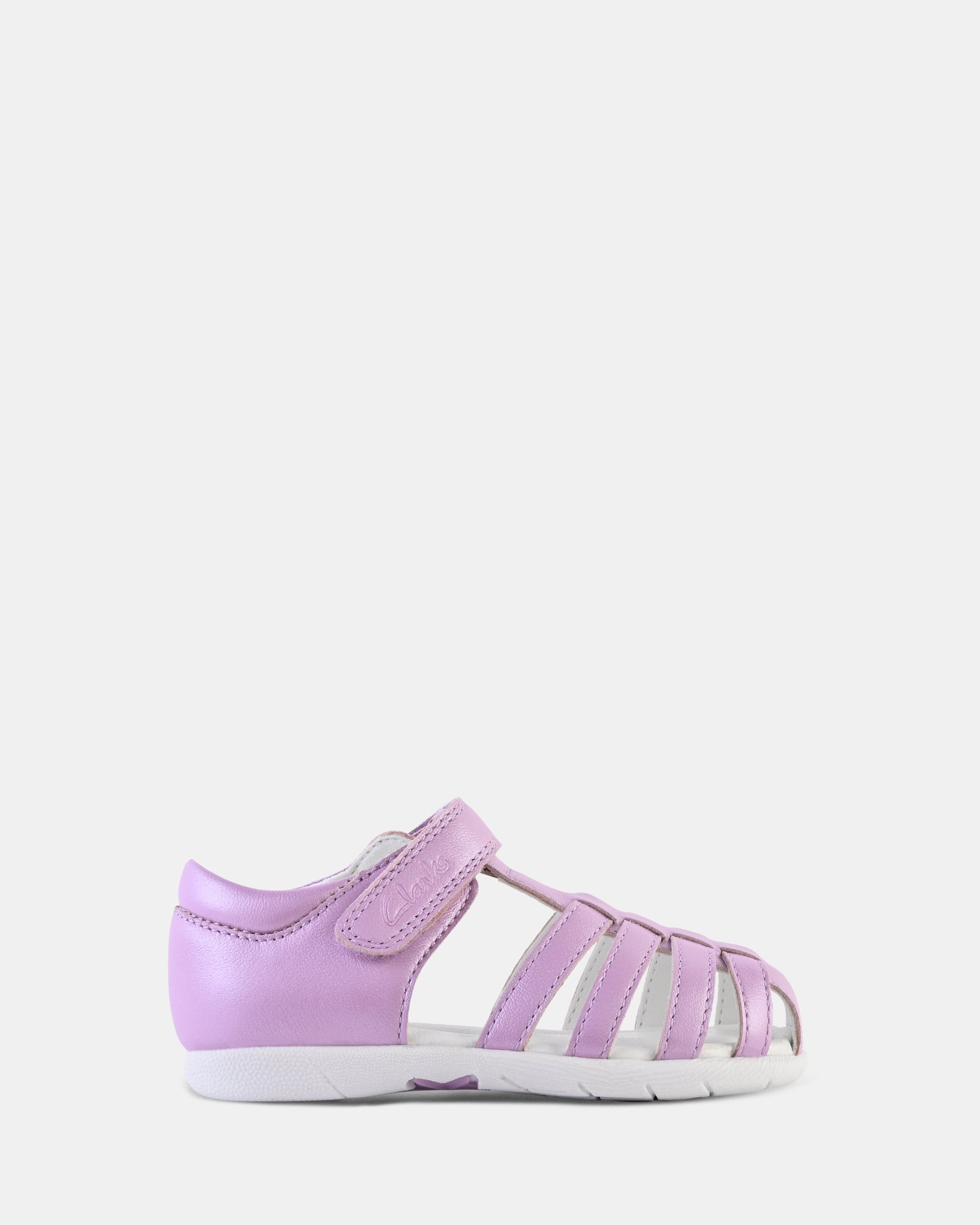 Shelly Violet