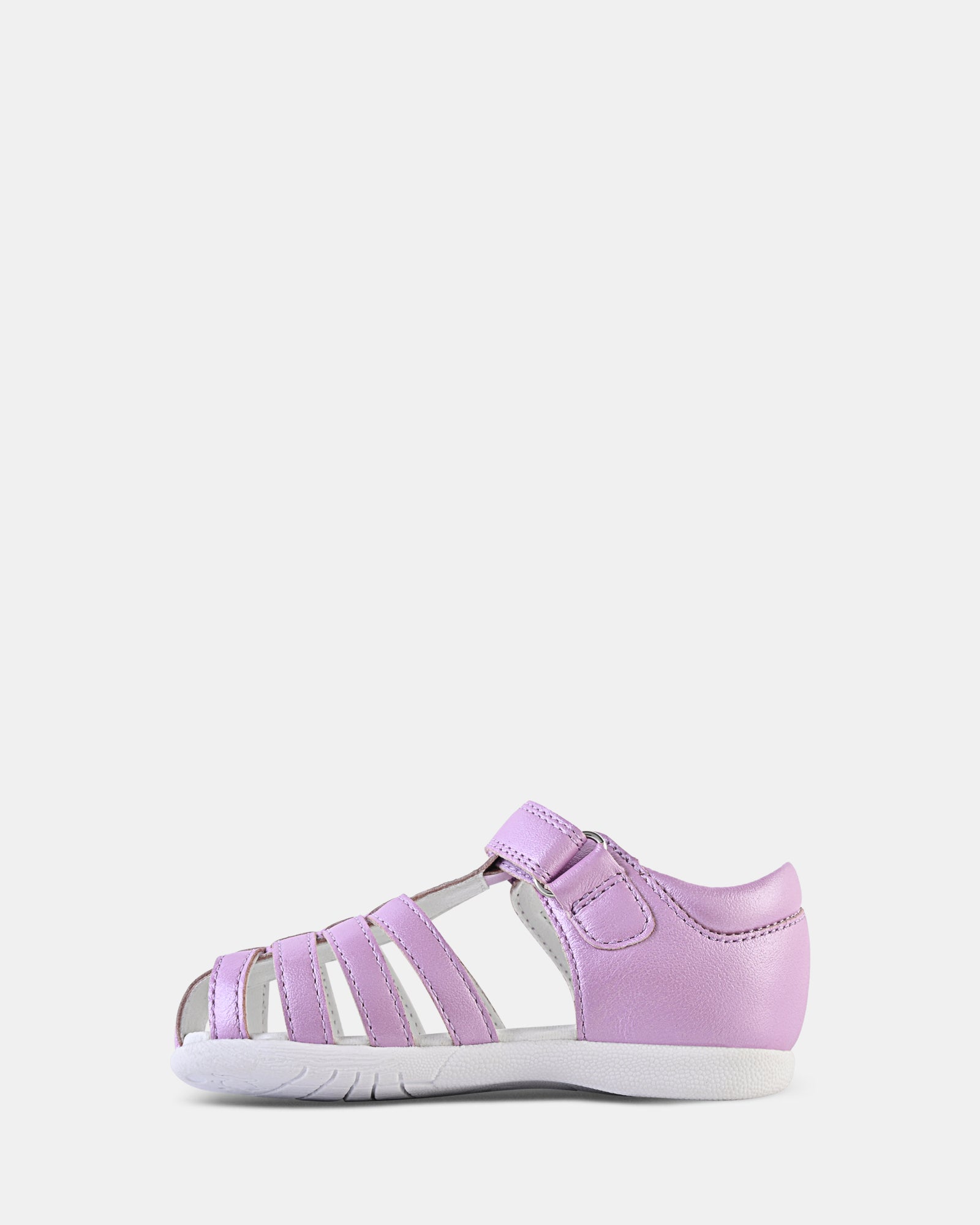 Shelly Violet