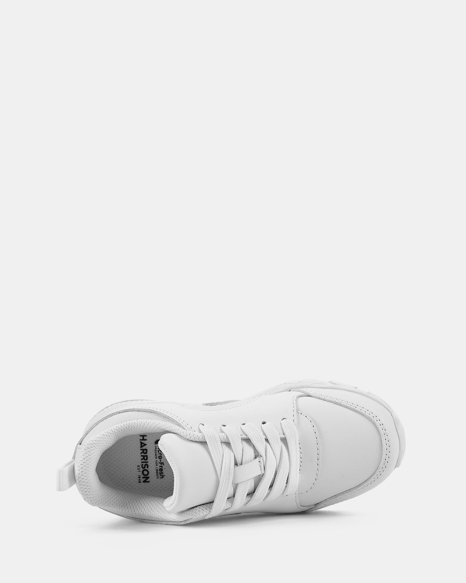 Notion White