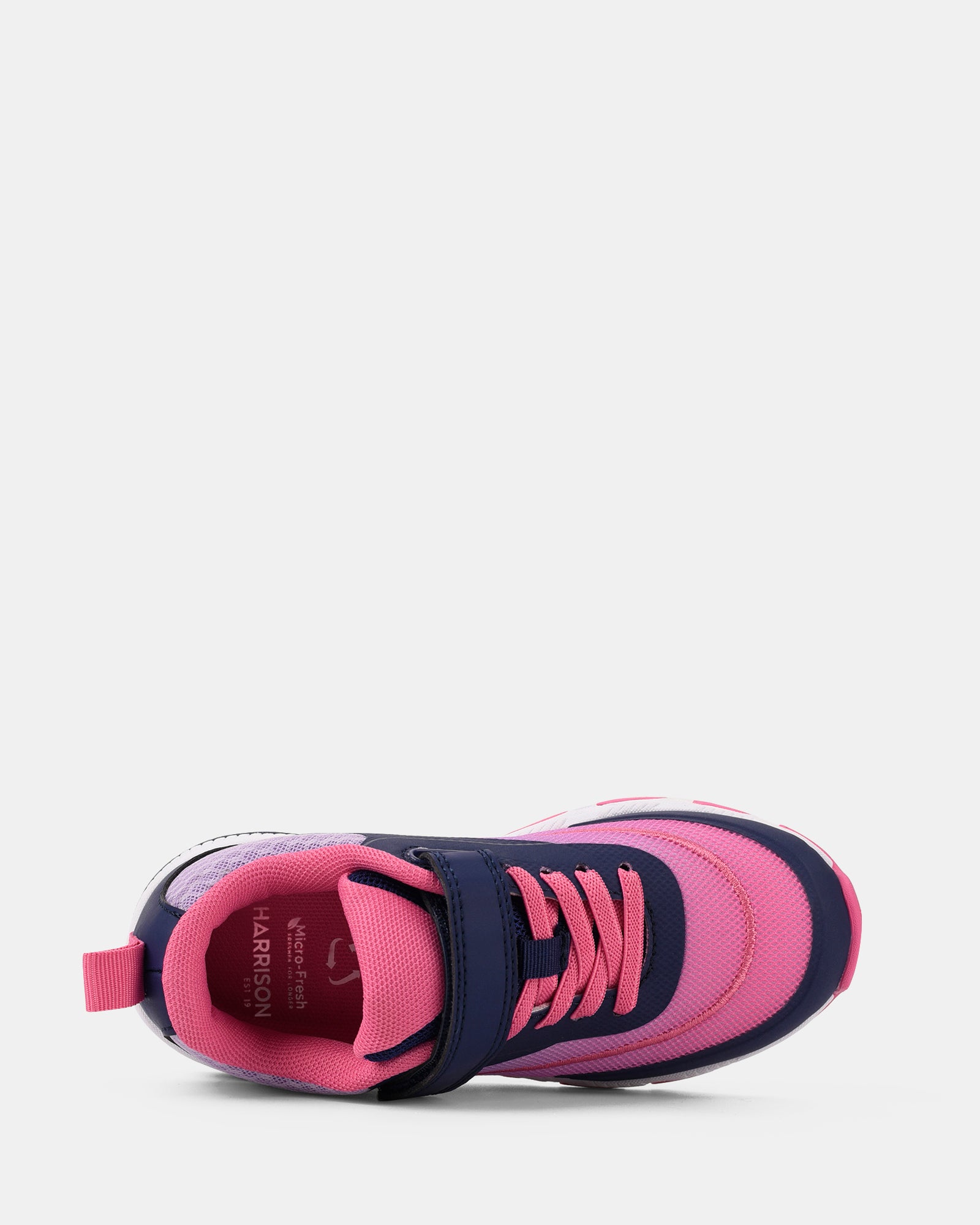 Nifty Navy/Lilac