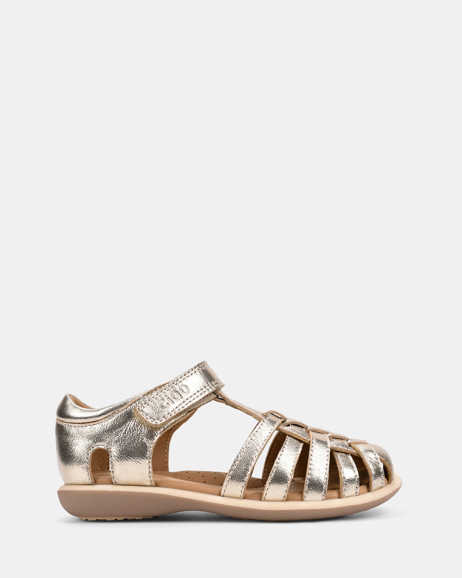 Prudence Gold