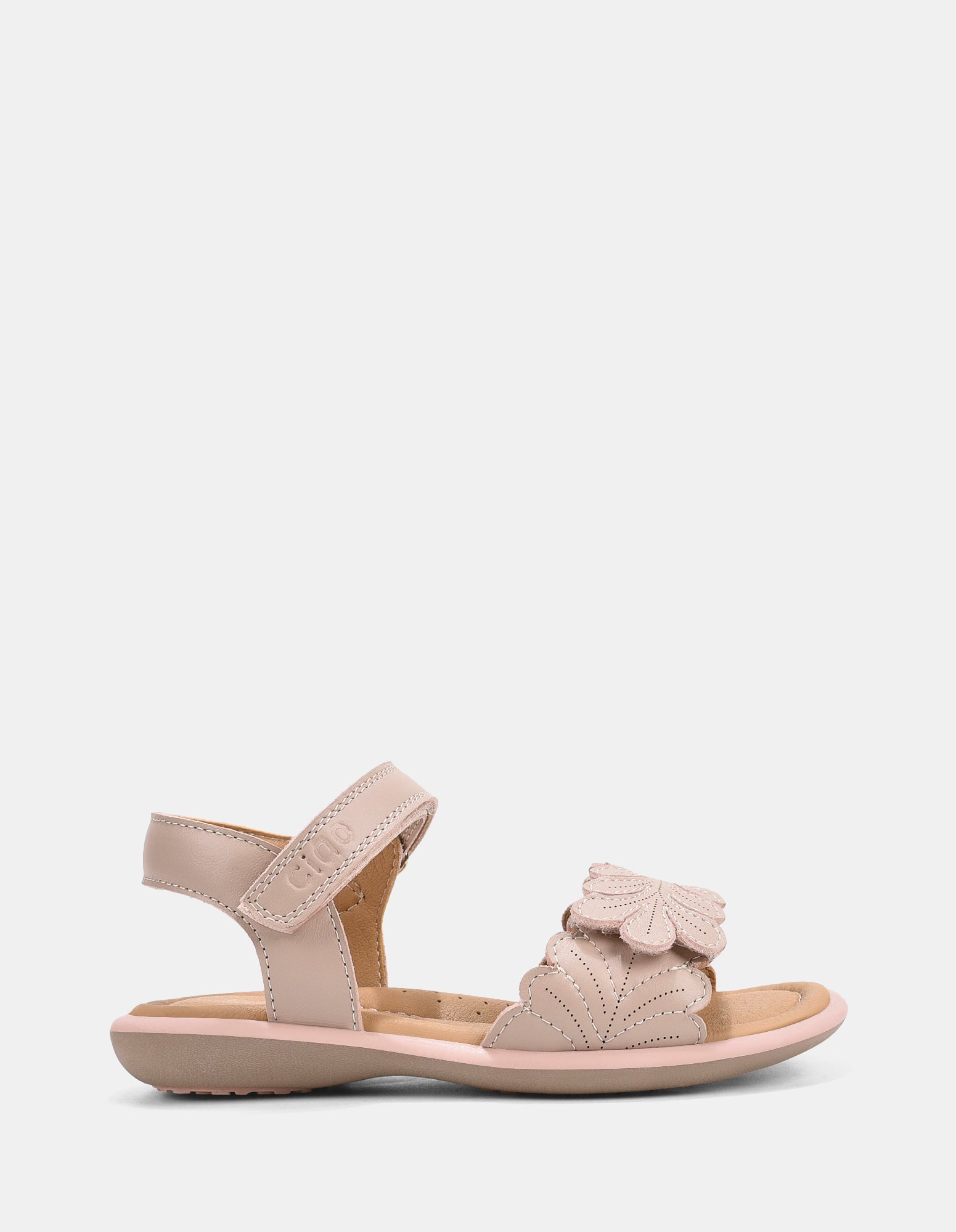Portia Blush