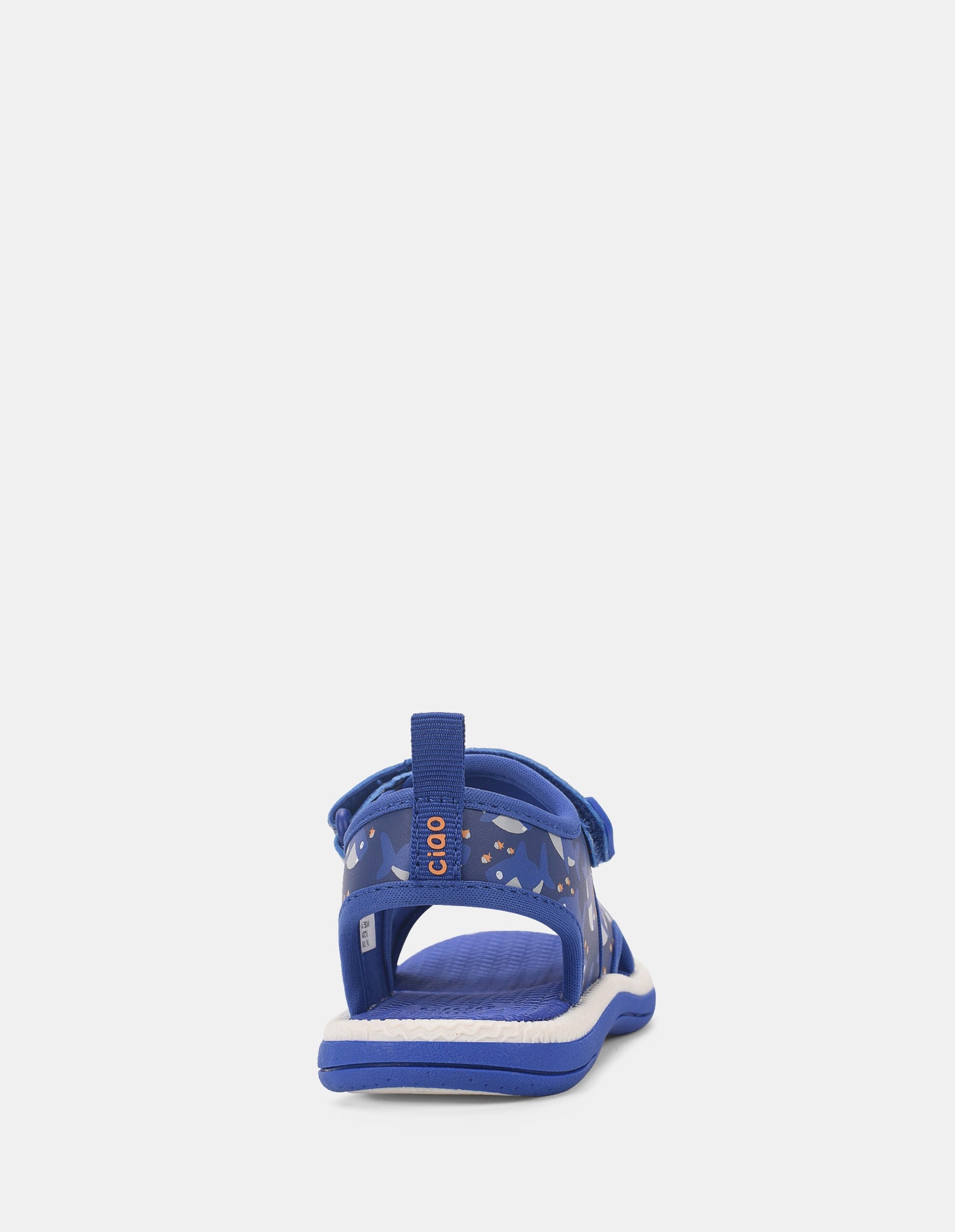 Flynn Blue Shark